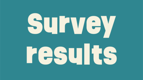 Primary School Survey Results