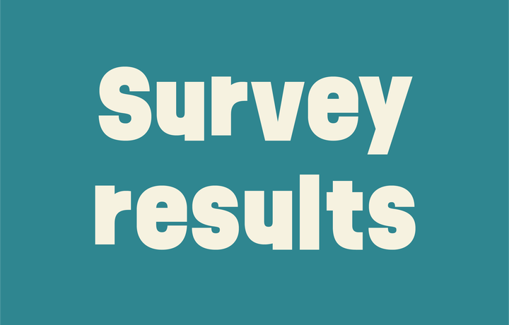 Primary School Survey Results