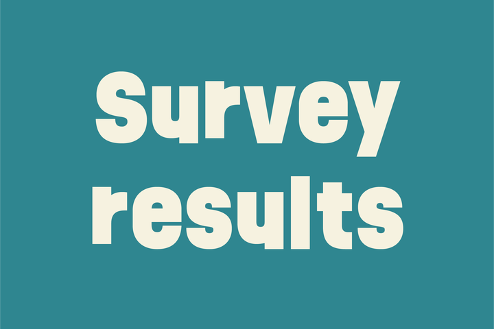 Primary School Survey Results